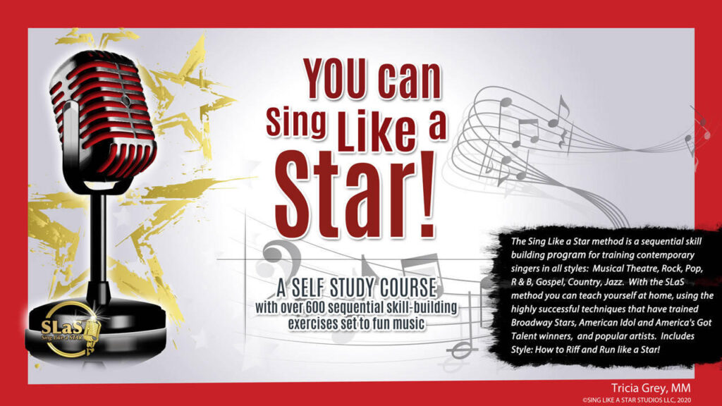 Promotional image for YOU can Sing Like a Star! Yearly Subscription ($499), with musical notes and singing success tips.